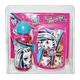 tiffin lunch box set